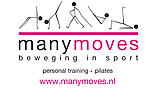 Logo Many Moves